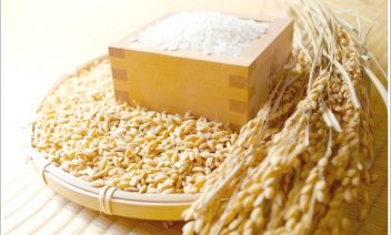 夏場のお米の保存方法！常温だと腐る？冷蔵庫に入れるべき？